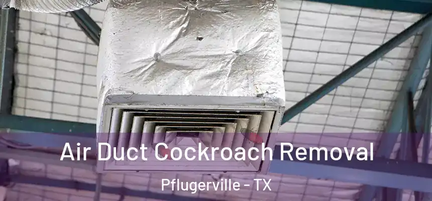 Air Duct Cockroach Removal Pflugerville - TX