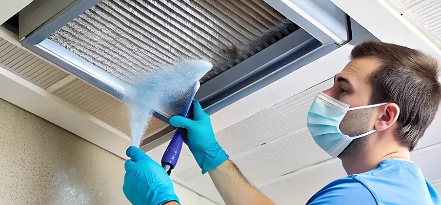 Proactive Dryer Vent & Auxiliary Duct Pollen Cleanup in Pflugerville, TX