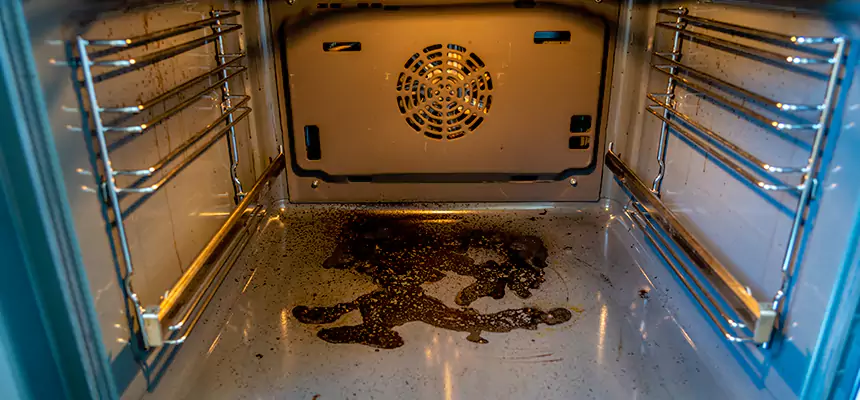 Our Dryer Vent Mold Cleaning Services in Pflugerville, TX