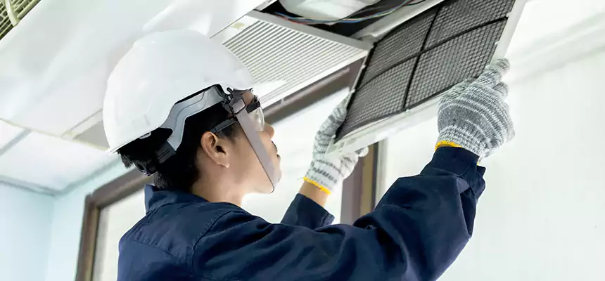 Our Mold & Mildew Removal from Air Ducts Services in Pflugerville, TX