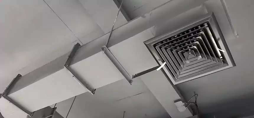 Our Pest Removal From Ducts Services in Pflugerville, TX