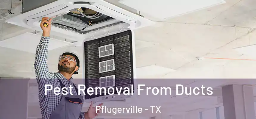  Pest Removal From Ducts Pflugerville - TX