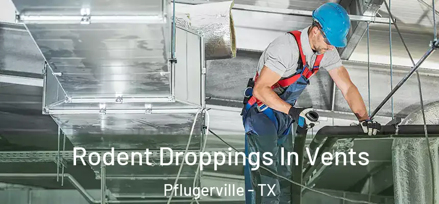  Rodent Droppings In Vents Pflugerville - TX