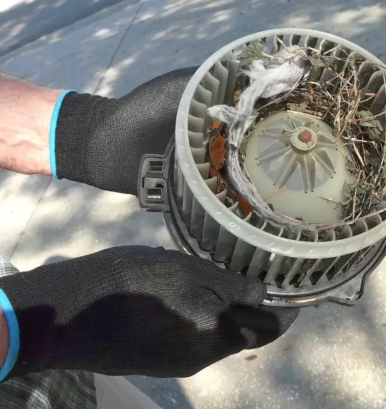 About Air Duct Rat Removal in Pflugerville, TX