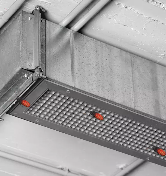 Affordable Insect Removal from Air Ducts in Pflugerville, TX