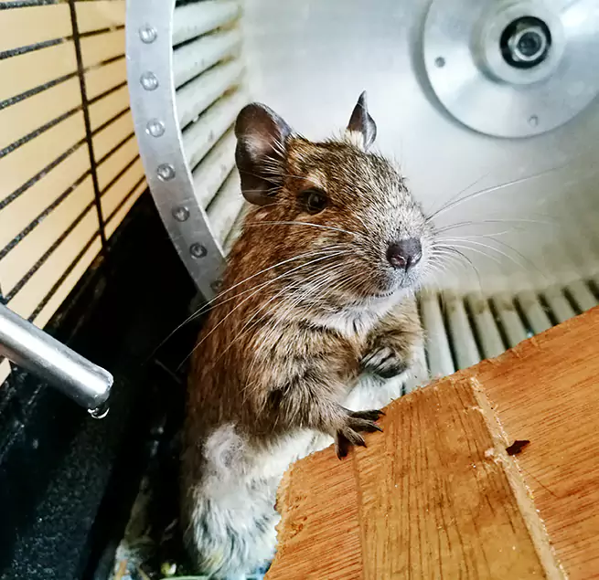 Why Homeowners & Businesses Trust Us Pflugerville, TX