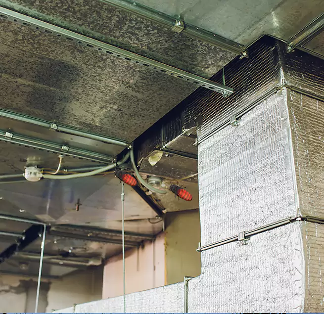 Why Homeowners & Businesses Trust Us Pflugerville, TX?