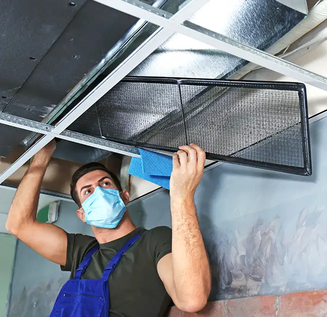 Why Homeowners & Businesses Trust Us in Pflugerville, TX?