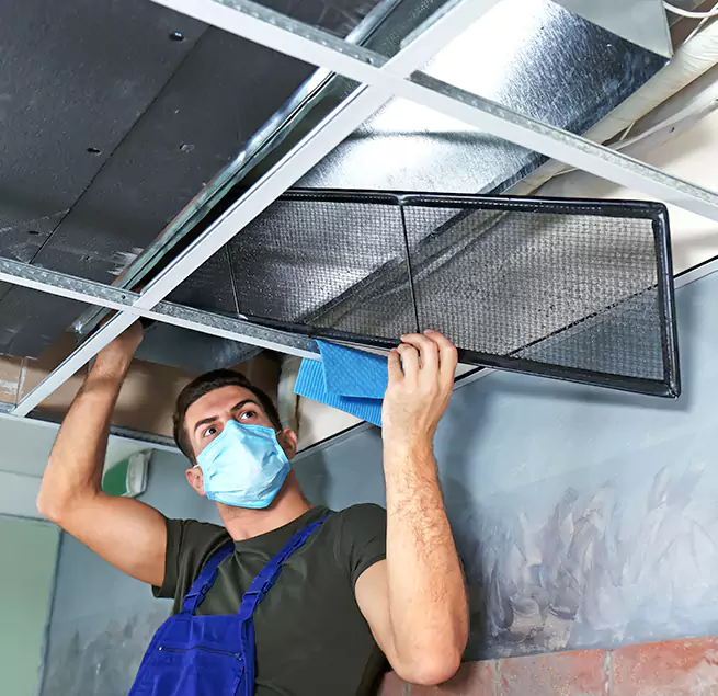 Why Homeowners & Businesses Trust Us in Pflugerville, TX?